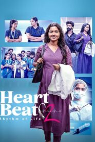 Heart Beat: Season 2